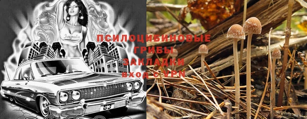 PSILOCYBIN Алексин